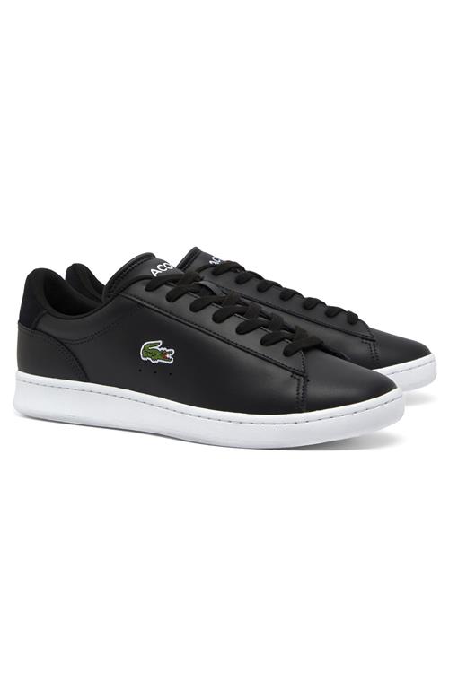 Lacoste Sneakers