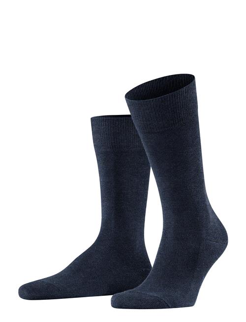 Se Family Everyday Casual Falke Navy ved Booztlet