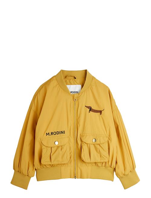 Dog Nylon Baseball Jacket Emb Mini Rodini Yellow
