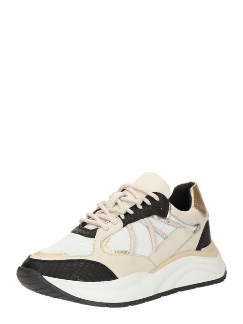 PS Poelman Sneaker low  nude / guld / sort