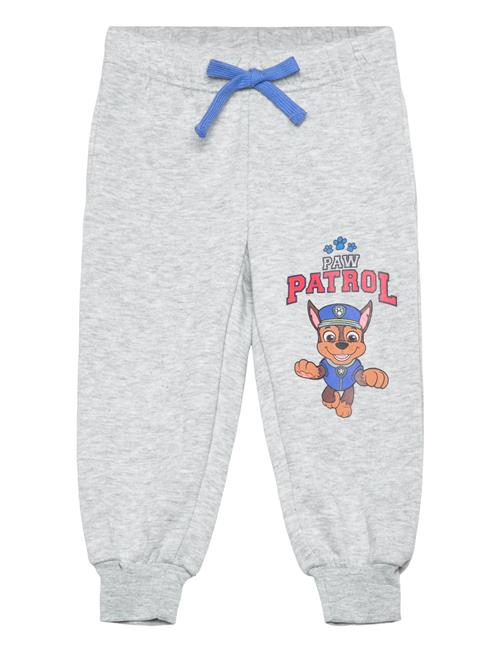 Pant Paw Patrol Grey