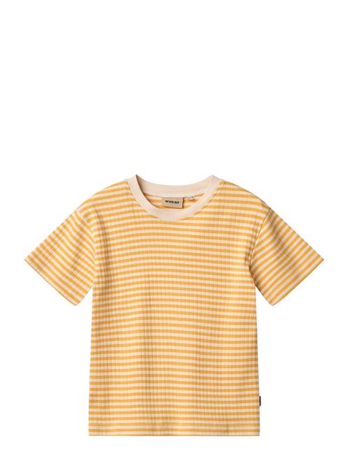 T-Shirt S/S Fabian Wheat Yellow