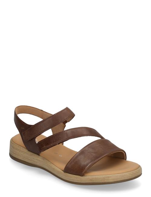Sandal Gabor Brown