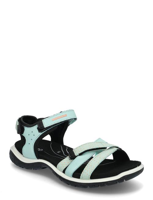 Offroad Roam W ECCO Blue