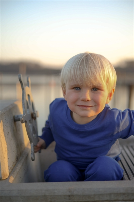 Se BIRKHOLM Sweatshirt Kobolt Blå hos SmartKidz