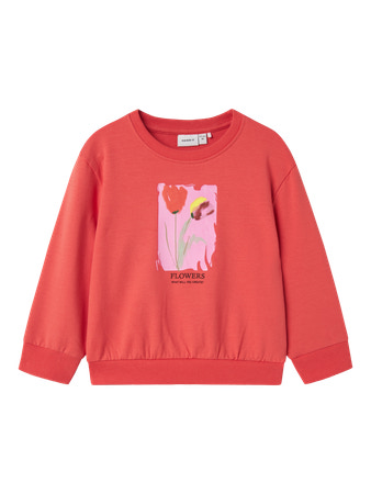 Se NAME IT Magisk Sweatshirt Fatima Spiced Coral hos SmartKidz