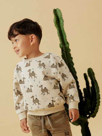 Se NAME IT Sweatshirt Jano Peyote hos SmartKidz