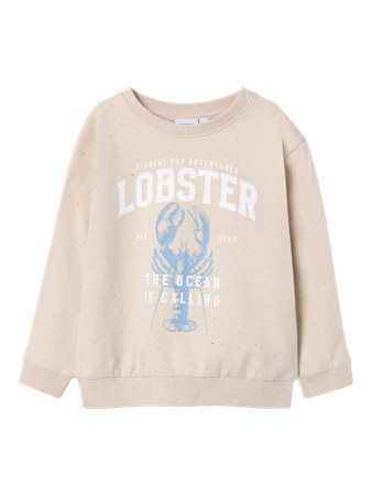Se NAME IT Sweatshirt Fabian Peyote hos SmartKidz