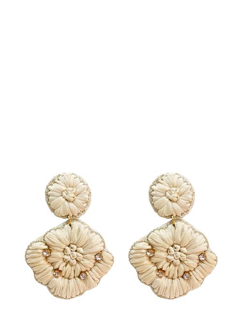 Zamba Ear Near White Pipol's Bazaar Cream