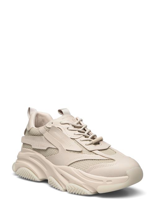 Possess Sneaker Steve Madden Beige