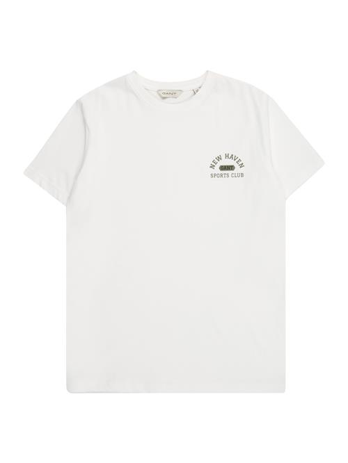 Se GANT Shirts  grøn / sort / hvid ved About You