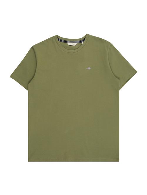 GANT Shirts  oliven