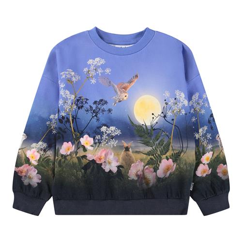 Molo Maxi Sweatshirt Magic Moonrise 128 cm  Blå  128 cm  kvinde