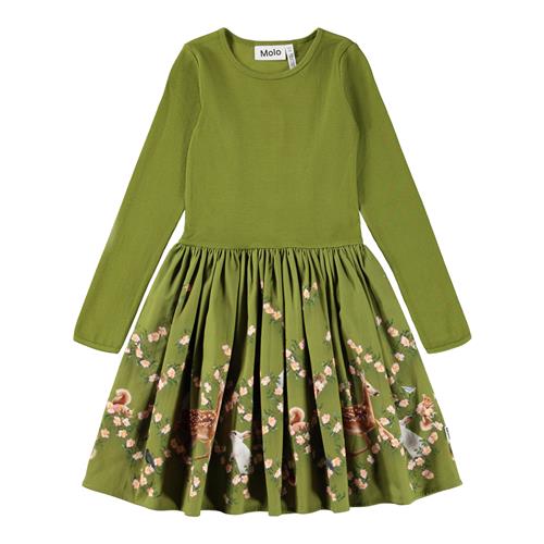 Molo Casie Warm Dress Ls Argyle Forest 122/128 cm  Grøn  122/128 cm  kvinde