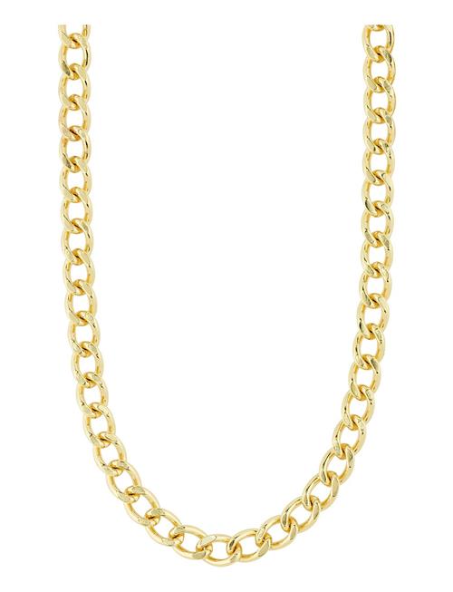 Charm Curb Necklace Gold-Plated Pilgrim Gold