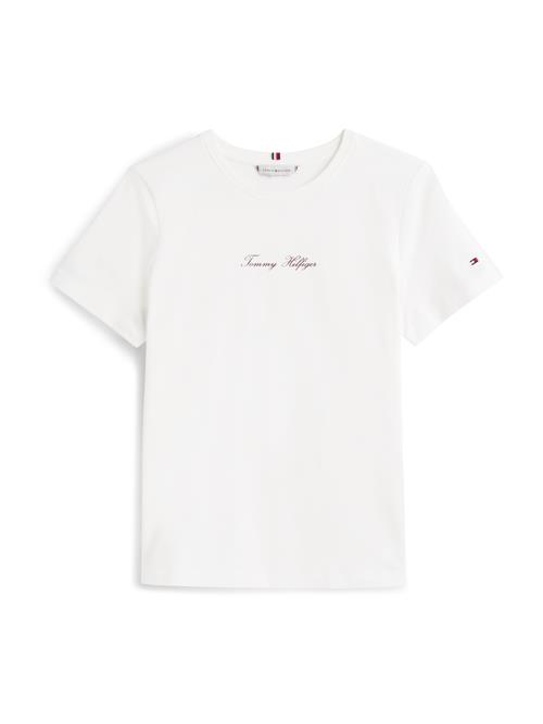 TOMMY HILFIGER Shirts 'CLASSIC'  bordeaux / hvid