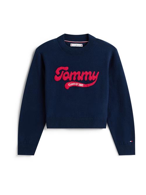 Se TOMMY HILFIGER Pullover  marin / rød / hvid ved About You