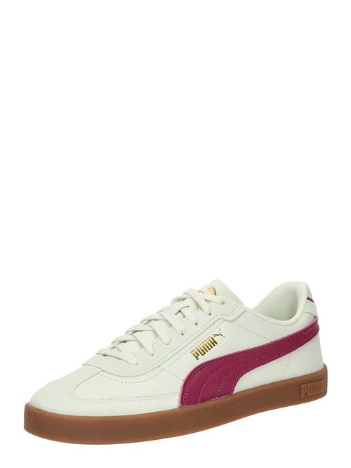 PUMA Sneaker low 'Club II Era'  pastelgrøn / fuchsia