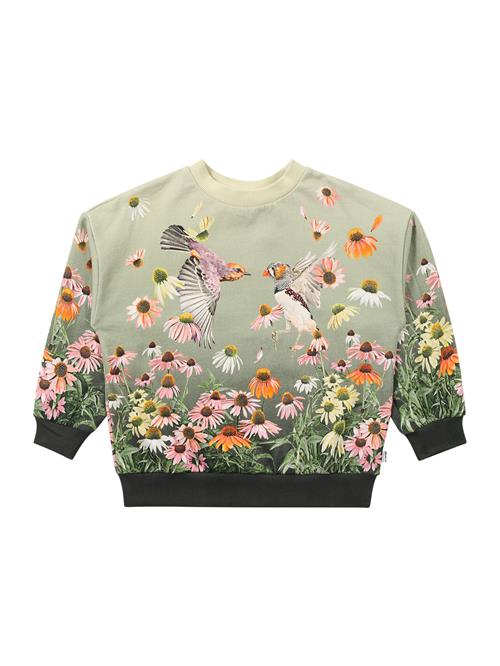 Molo Sweatshirt 'Mika'  grøn / orange / lyserød / hvid