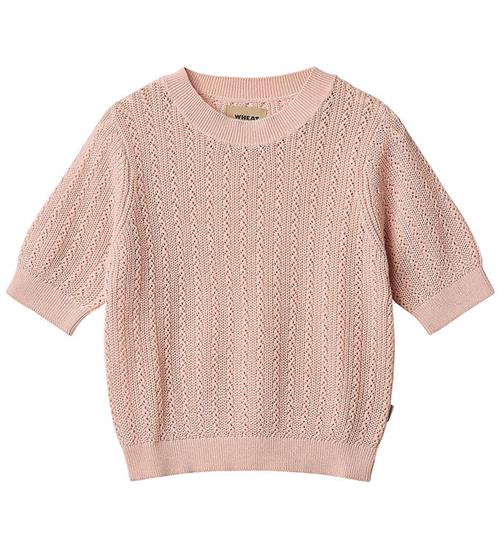 Wheat T-shirt - Strik - Alva - Powder