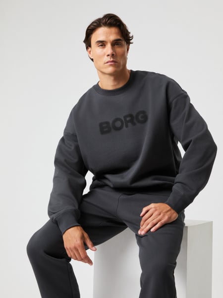 Björn Borg Borg Oversized Sweatshirt Grå, S