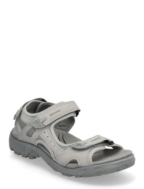 Offroad ECCO Grey