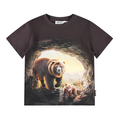 Molo Riley T-shirts Cave Bears  Cave Bears 104 cm  Brun  104 cm  mand