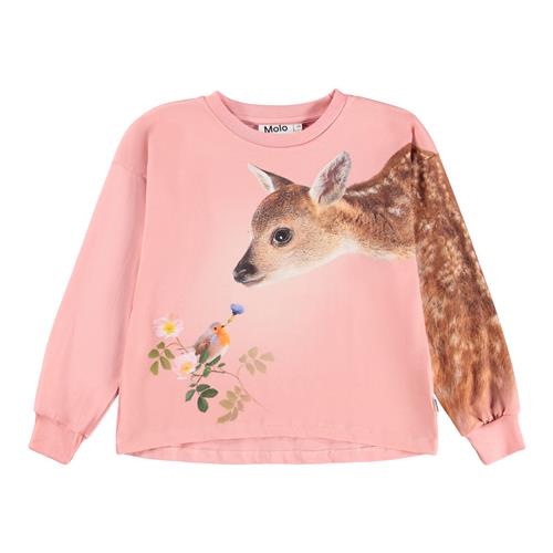 Molo Reniza T-shirt Med Lange Ærmer Flower Gift  Flower Gift 92 cm  Lyserød  92 cm  kvinde