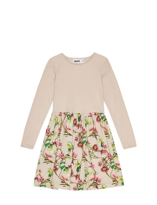 Credence Molo Beige