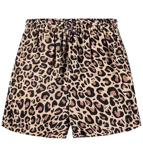 Molo Shorts - Aisia - Jaguar Melon