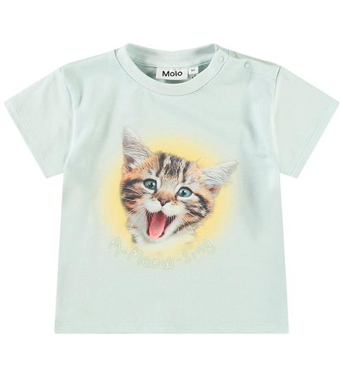 Molo T-shirt - Enzo - A-Meow-Sing
