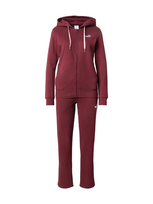 PUMA Træningsdragt  mint / bordeaux