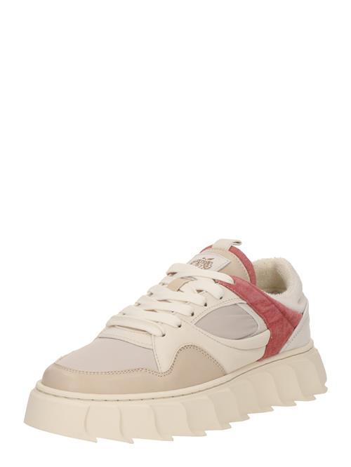 Apple of Eden Sneaker low 'LIMA'  creme / kit / mørkebeige / magenta