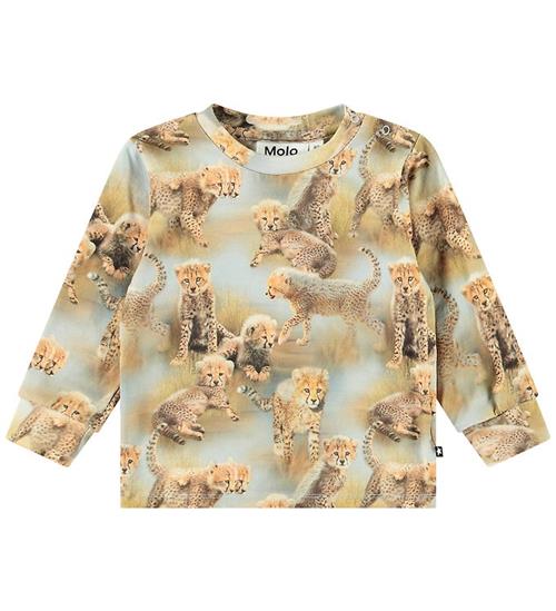 Molo Bluse - Eloy - Cheetah Cubs