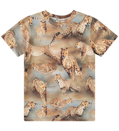 Molo T-shirt - Ralphie - Fast Cheetahs