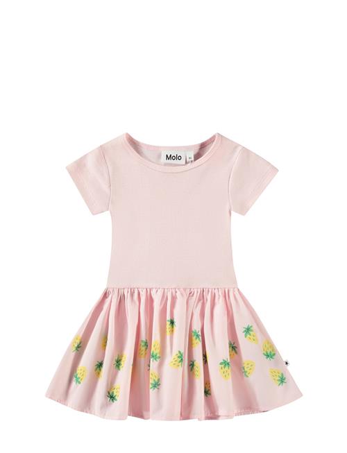 Carin Molo Pink