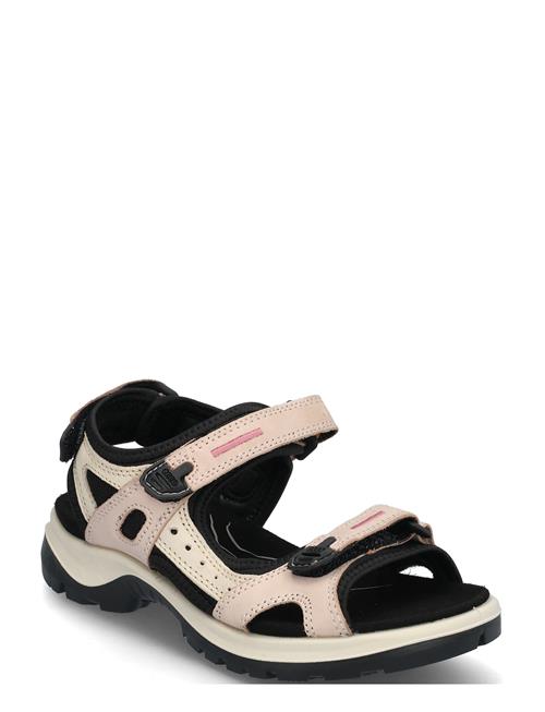 Offroad ECCO Black