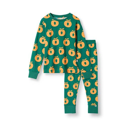 Småfolk Jubilee Nightwear Set with Apples Cedar tree Cedar tree-4-5 Y  Grøn  4-5 år  mand