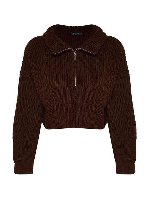 Trendyol Pullover  kastaniebrun