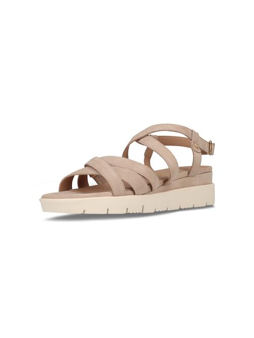 SALAMANDER Sandaler med rem  beige