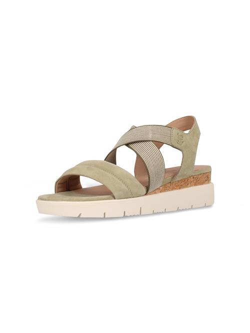 Se SALAMANDER Sandaler med rem  pastelgrøn ved About You
