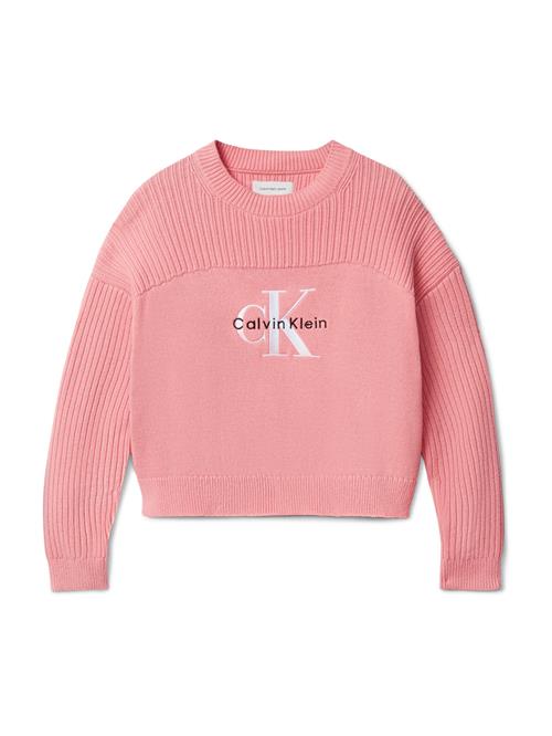 Calvin Klein Jeans Pullover  pitaya / sort / hvid