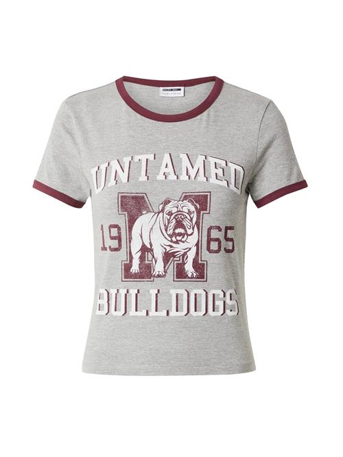 Noisy may Shirts 'NMKATINKA'  grå-meleret / burgunder / hvid