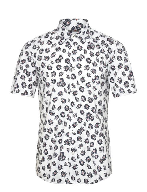 P-Roan-Ken-Sh-C1-242 BOSS Patterned