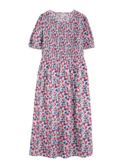 Seasalt Cornwall Kjole 'Meadowsweet'  blå / pink / hvid