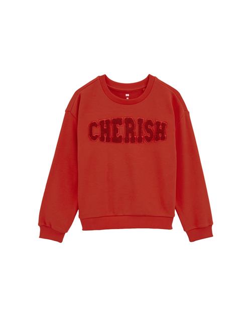 WE Fashion Sweatshirt  rød