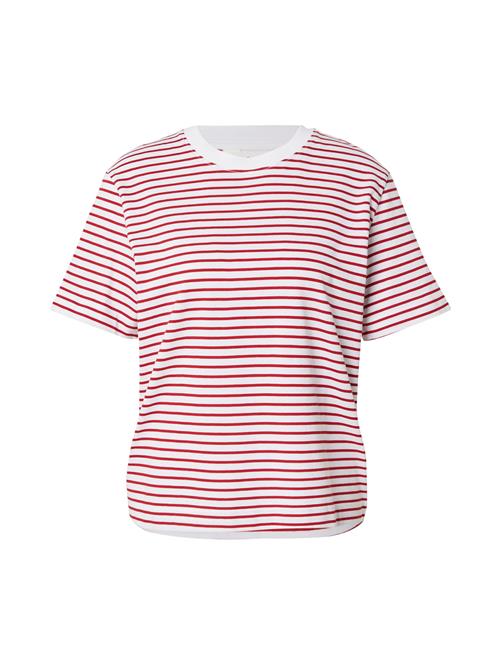 SELECTED Shirts 'SLFESSENTIAL'  rød / hvid