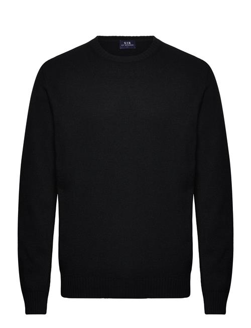 Harald SIR Of Sweden Black