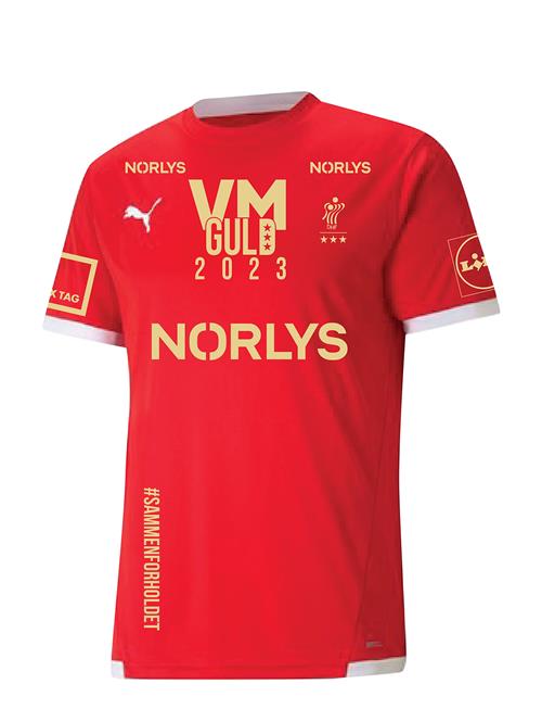 Teamliga Jersey PUMA Red