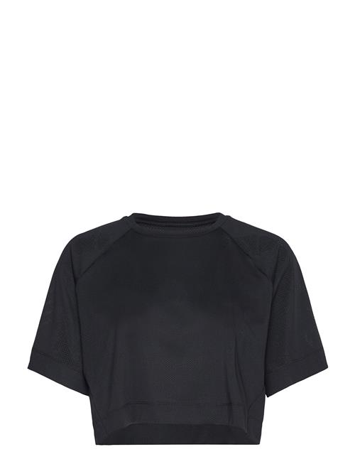 Laser Mesh Crop Tee Casall Black
